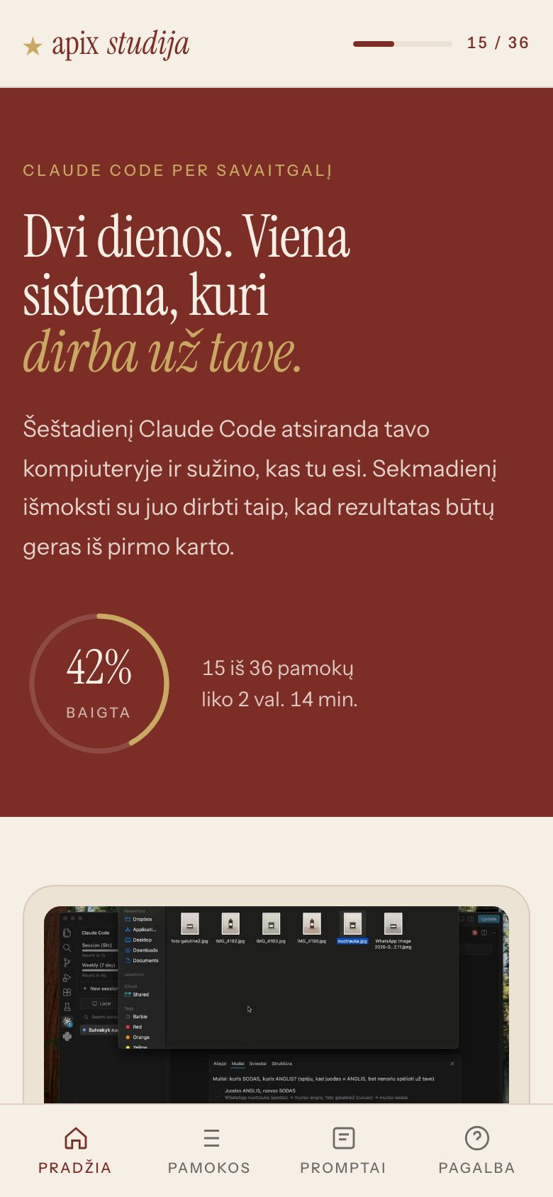 Ta pati programa telefone